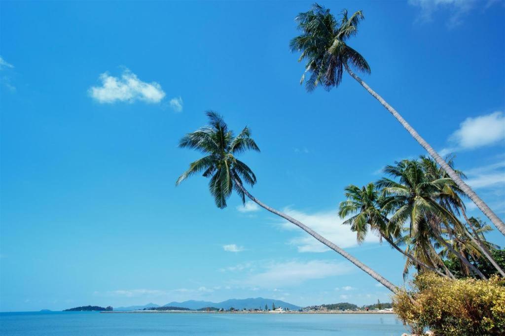 Mm House Hotel Ko Samui Eksteriør billede